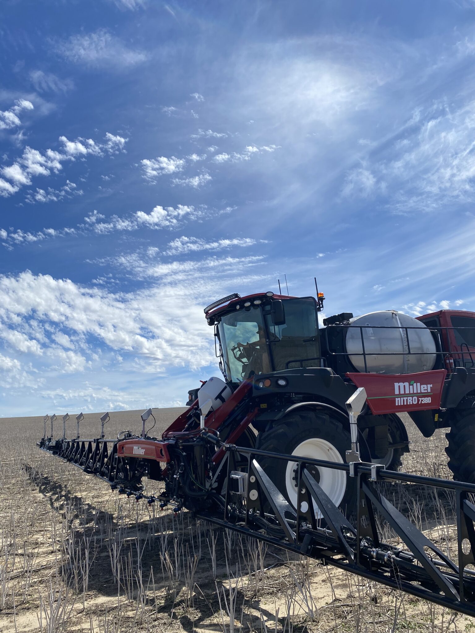 How it works bilberry